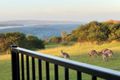 Property photo of 19 The Point Tura Beach NSW 2548