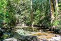 Property photo of 382 Ganyan Drive Speewah QLD 4881