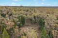 Property photo of 1393 Spring Creek Road Yarrawonga NSW 2850