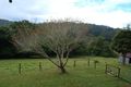 Property photo of 410 North Branch Road Upsalls Creek NSW 2439
