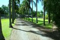 Property photo of 20 Riverbend Avenue Carrara QLD 4211