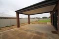 Property photo of 14 Horner Street Cobram VIC 3644