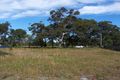 Property photo of 121 Diamond Head Road Dunbogan NSW 2443