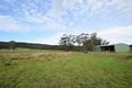 Property photo of 367 Priestleys Lane Birralee TAS 7303