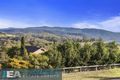 Property photo of 20 Egret Place Blackbutt NSW 2529