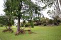 Property photo of 95 Pine Avenue Ulong NSW 2450
