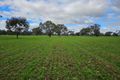 Property photo of 100 Klinberg Road Jindera NSW 2642