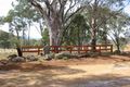 Property photo of 8 Bibil Close Nemingha NSW 2340