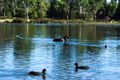 Property photo of 3 Waterside Grove Woodcroft NSW 2767