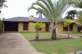 Property photo of 14 Roscrea Street Tingalpa QLD 4173