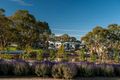 Property photo of 7 Springbrook Drive Mount Barker SA 5251