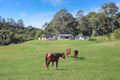 Property photo of 321 Western Avenue Montville QLD 4560