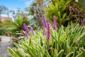 Property photo of 2/21 Quarter Sessions Road Westleigh NSW 2120