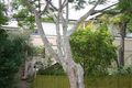 Property photo of 36 Butler Street Ascot QLD 4007