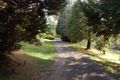 Property photo of 1574 Pakenham Road Cockatoo VIC 3781