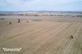 Property photo of 3497 Henry Lawson Way Ooma NSW 2871