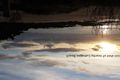 Property photo of 3488 Tathra Bermagui Road Barragga Bay NSW 2546