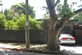 Property photo of 1/1 Chilcote Avenue Malvern VIC 3144