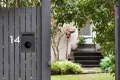 Property photo of 14 Karella Crescent Mornington VIC 3931