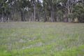 Property photo of 53 Third Avenue Kendenup WA 6323