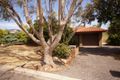 Property photo of 53 Gooronga Drive Craigmore SA 5114