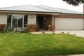 Property photo of 20 Oxford Street Belmont VIC 3216