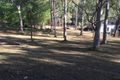 Property photo of 35 Mirambeena Drive Pimpama QLD 4209