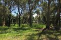Property photo of 10 Allambie Street Macleay Island QLD 4184