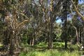 Property photo of 10 Allambie Street Macleay Island QLD 4184