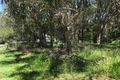 Property photo of 10 Allambie Street Macleay Island QLD 4184