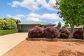 Property photo of 13 Marie Dalley Street Gungahlin ACT 2912