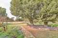 Property photo of 359 Shaggy Ridge Road Robinvale VIC 3549