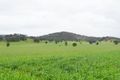 Property photo of 337 Dights Forest Road Jindera NSW 2642