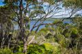 Property photo of 46 Imlay Street Merimbula NSW 2548