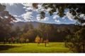 Property photo of 399 Summervilles Road Thora NSW 2454