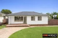 Property photo of 17 Barham Street Heckenberg NSW 2168
