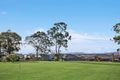 Property photo of 34 Forest Drive Chisholm NSW 2322