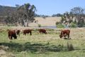 Property photo of 8850 New England Highway Tenterfield NSW 2372