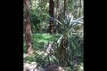 Property photo of 11 Old Don Road Badger Creek VIC 3777