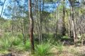 Property photo of 383 Matchbox Road Deepwater QLD 4674