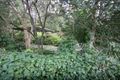 Property photo of 4 Jean Street Upper Ferntree Gully VIC 3156