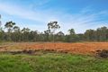 Property photo of 30-42 Purvines Road Yellow Rock NSW 2777
