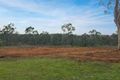 Property photo of 30-42 Purvines Road Yellow Rock NSW 2777
