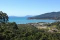 Property photo of 31 Cumberland Court Airlie Beach QLD 4802