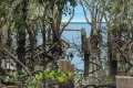 Property photo of 45 Perulpa Drive Lamb Island QLD 4184