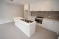 Property photo of 11 Volpato Street Forde ACT 2914