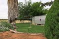 Property photo of 172 Gratwick Road Loxton SA 5333