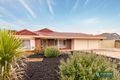 Property photo of 84 Fiddlewood Drive Freeling SA 5372