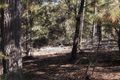 Property photo of LOT 25 Kiaka Road Nethercote NSW 2549
