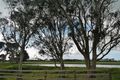 Property photo of 232 Fraser Road Nugara TAS 7256